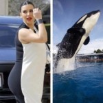 OMG…Comparan a Kim Kardashian con una ballena asesina