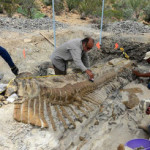 Cola de dinosario encontrada en Mexico podría ser familia de la gárgola, Paranormal por Reinaldo Ríos