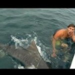 OMG..Pescador escapa de las garras de un tiburón (Aquí el VIDEO)