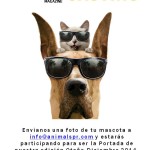 Animals Magazine  en busca de la mascota más adorable  de Puerto Rico