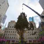 Así montan el árbol de Navidad en el Rockefeller Center