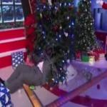 Shaquille O’Neal se escocota contra árbol de Navidad en plena transmisión