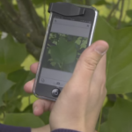 Shazam para plantas: La app que permite identificarlas con solo tomar una foto, Internesis con Jacky Fontanez