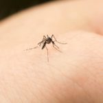 EE.UU. sobre riesgo de zika en los Juegos Olímpicos