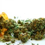 Marihuana medicinal generaría $50 millones al mes a Puerto Rico